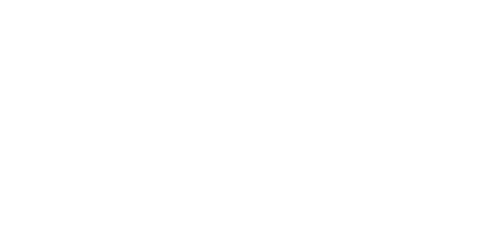 AS PALAVRAS E A PALAVRA